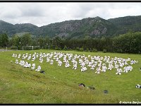 2011 06 23 2631-border